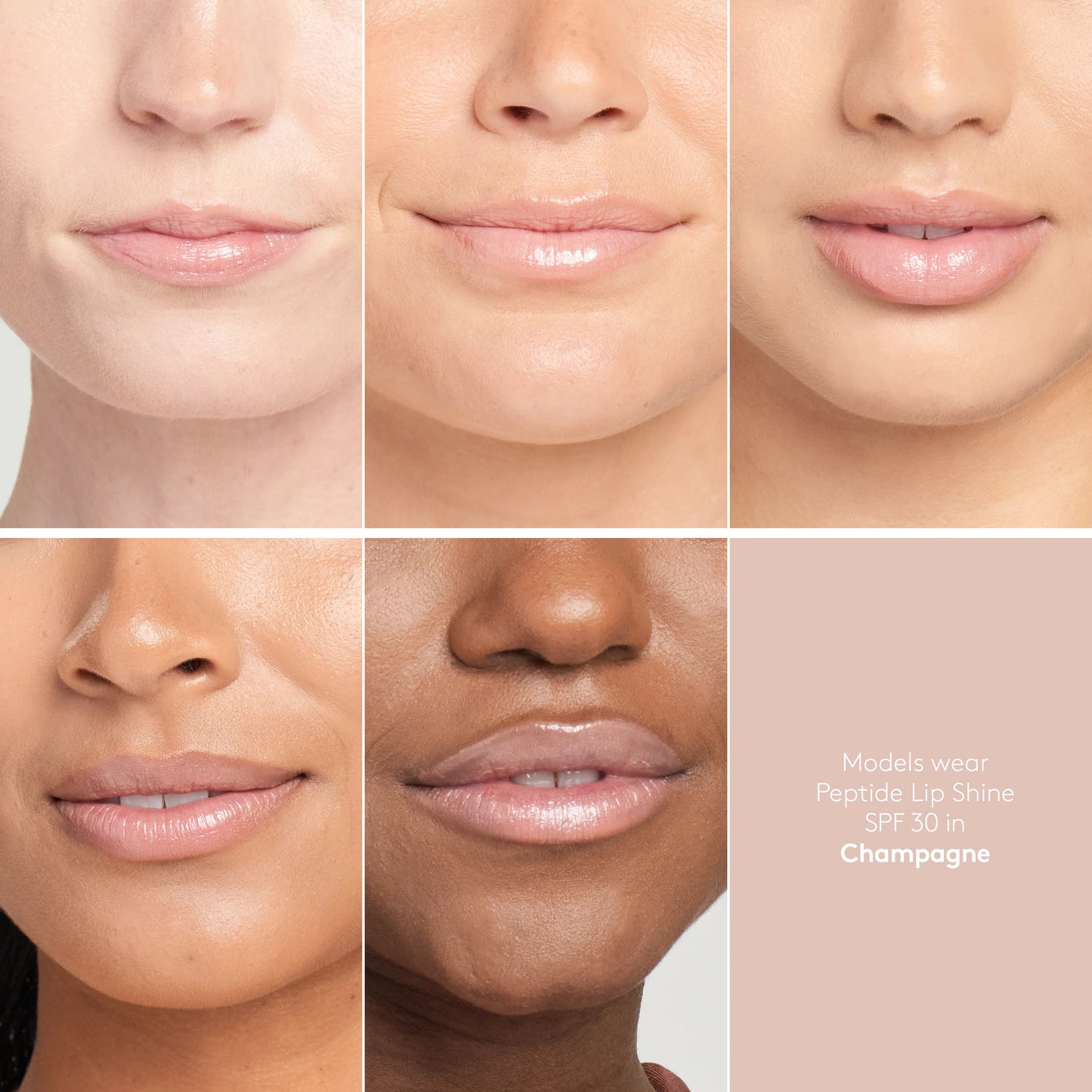 Peptide Lip Shine SPF 30 (Champagne)