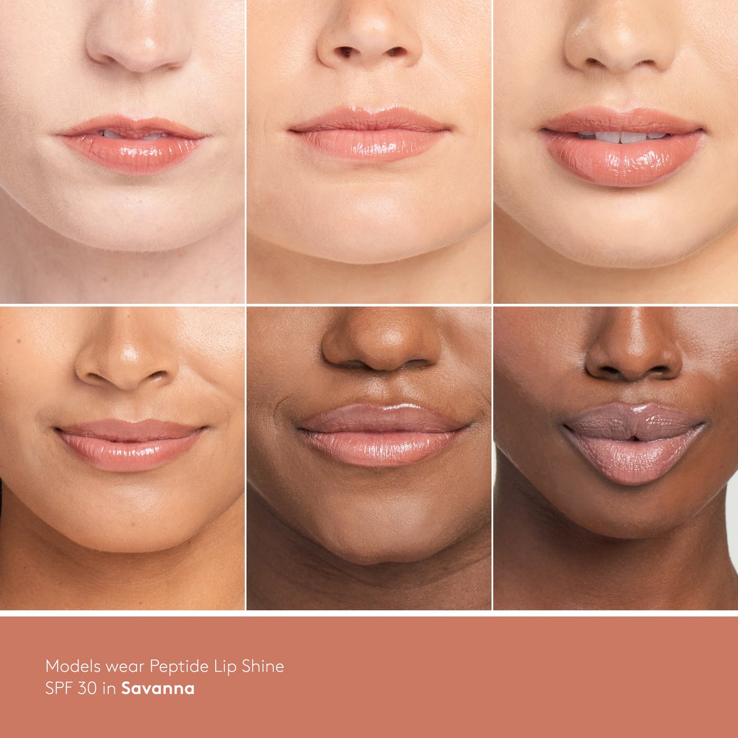 Peptide Lip Shine SPF 30 (Savanna)