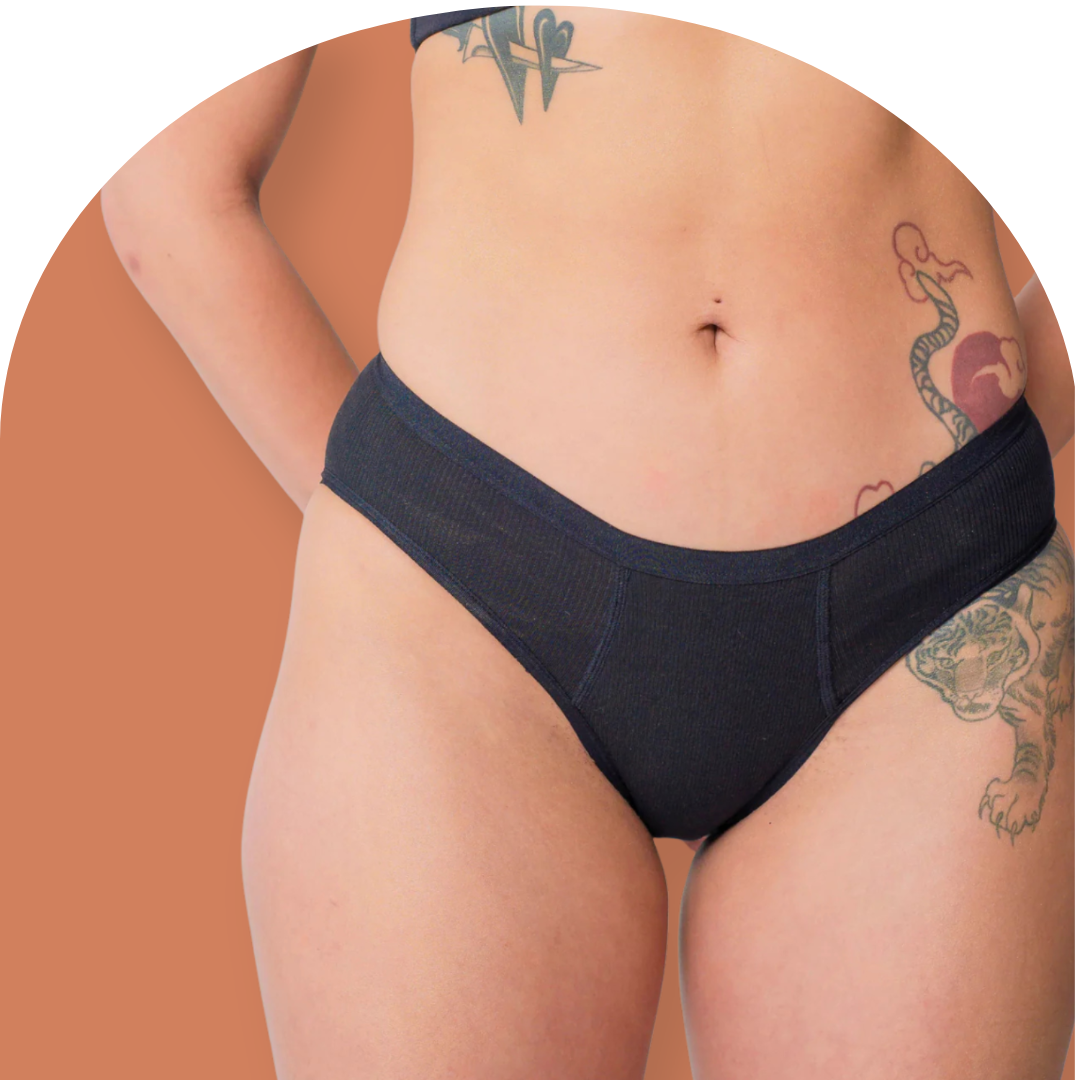 Bikini Brief Leakproof Period Underwear (1X/2X)